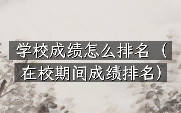学校成绩怎么排名（在校期间成绩排名）