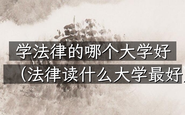 学法律的哪个大学好(法律读什么大学最好)