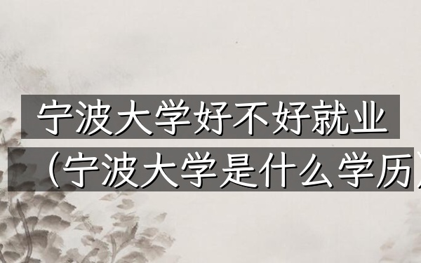 宁波大学好不好就业(宁波大学是什么学历)