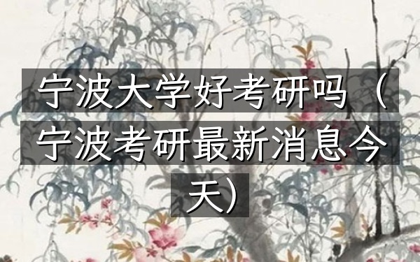 宁波大学好考研吗(宁波考研最新消息今天)