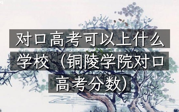 对口高考可以上什么学校(铜陵学院对口高考分数)