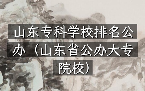 山东专科学校排名公办（山东省公办大专院校）
