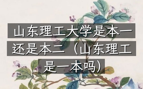 山东理工大学是本一还是本二(山东理工是一本吗)