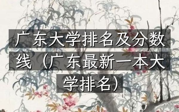 广东大学排名及分数线（广东最新一本大学排名）