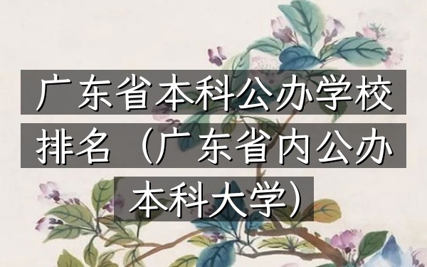 广东省本科公办学校排名（广东省内公办本科大学）