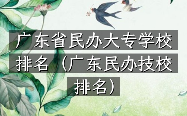 广东省民办大专学校排名（广东民办技校排名）