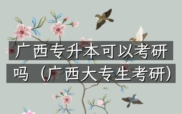 广西专升本可以考研吗(广西大专生考研)