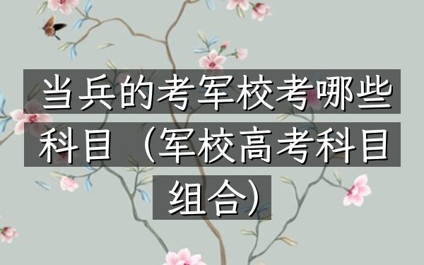 当兵的考军校考哪些科目(军校高考科目组合)