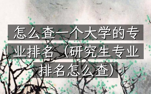 怎么查一个大学的专业排名（研究生专业排名怎么查）