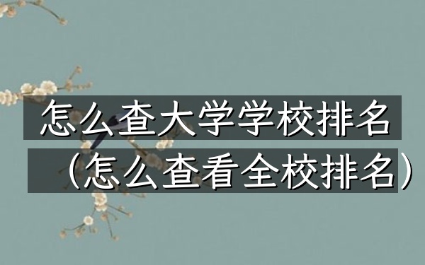 怎么查大学学校排名（怎么查看全校排名）