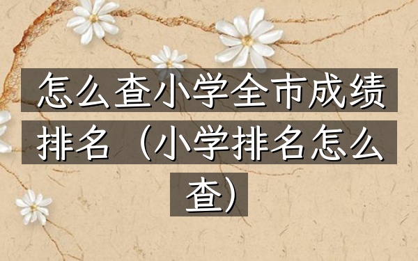 怎么查小学全市成绩排名（小学排名怎么查）