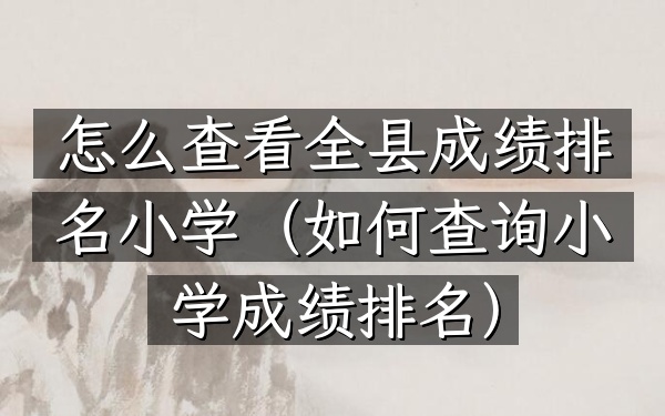 怎么查看全县成绩排名小学（如何查询小学成绩排名）