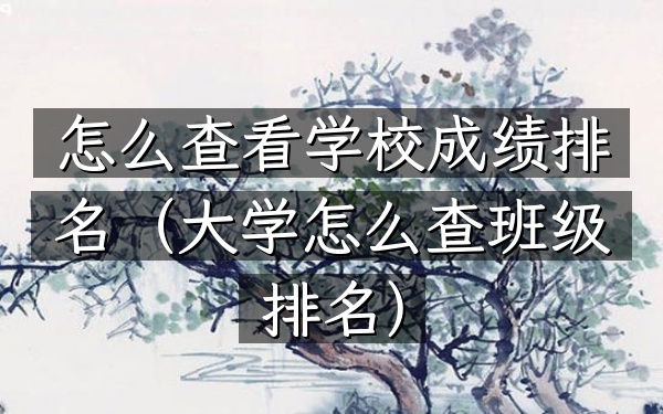怎么查看学校成绩排名（大学怎么查班级排名）
