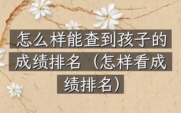 怎么样能查到孩子的成绩排名（怎样看成绩排名）