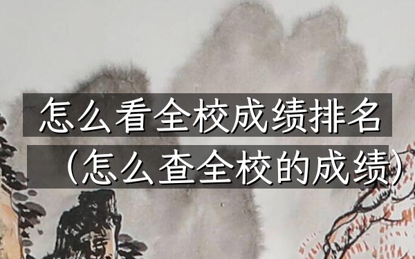 怎么看全校成绩排名（怎么查全校的成绩）