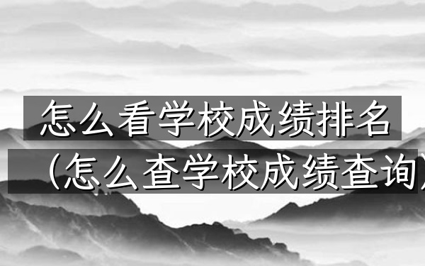 怎么看学校成绩排名（怎么查学校成绩查询）