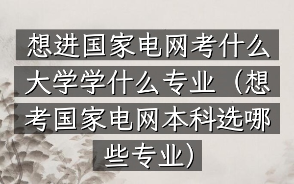 想进国家电网考什么大学学什么专业(想考国家电网本科选哪些专业)