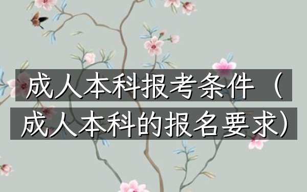 成人本科 报考条件(成人本科的报名要求)