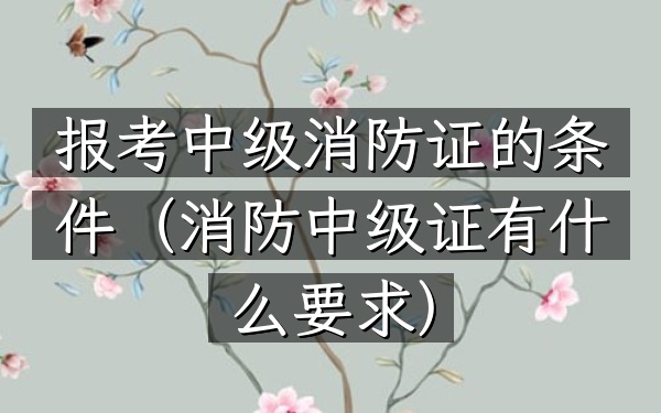 报考中级消防证的条件(消防中级证有什么要求)