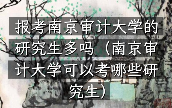 报考南京审计大学的研究生多吗(南京审计大学可以考哪些研究生)