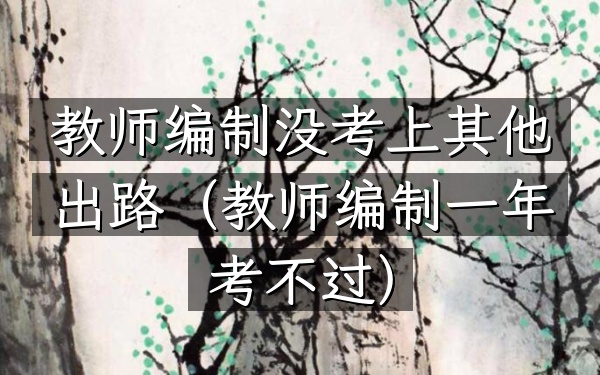 教师编制没考上其他出路(教师编制一年考不过)