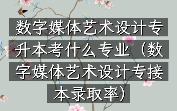 数字媒体艺术设计专升本考什么专业(数字媒体艺术设计专接本录取率)