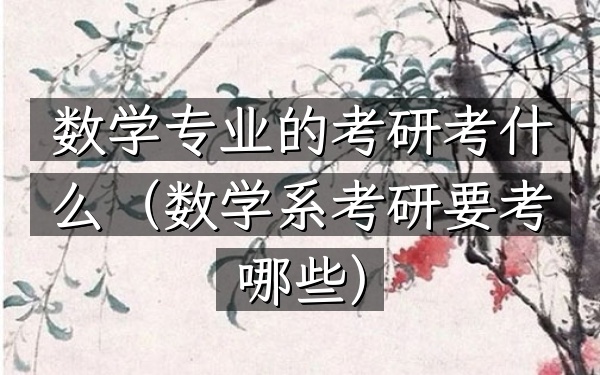 数学专业的考研考什么(数学系考研要考哪些)