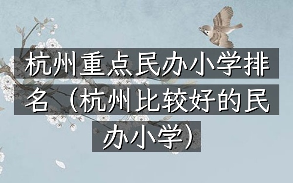 杭州重点民办小学排名（杭州比较好的民办小学）