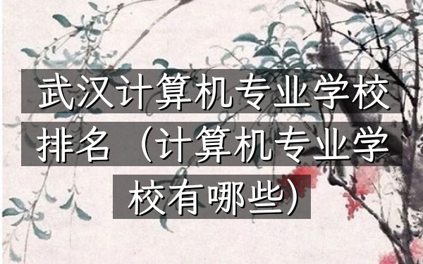 武汉计算机专业学校排名（计算机专业学校有哪些）