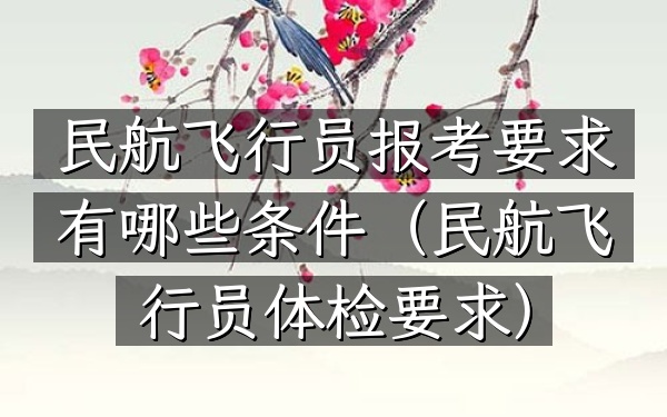 民航飞行员报考要求有哪些条件(民航飞行员体检要求)