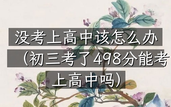 没考上高中该怎么办(初三考了498分能考上高中吗)