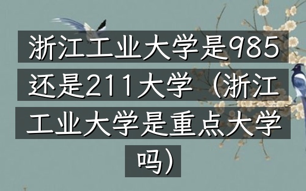 浙江工业大学是985还是211大学(浙江工业大学是重点大学吗)