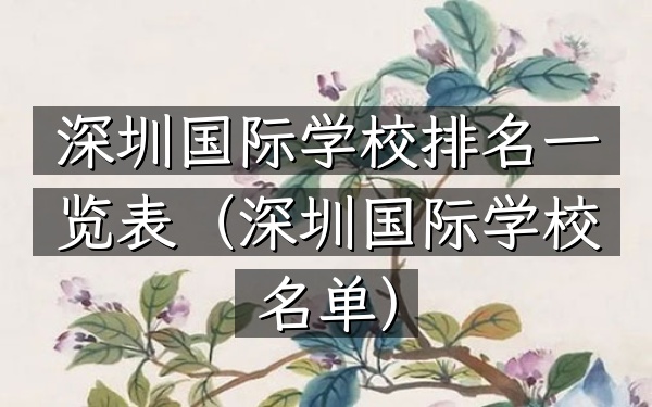 深圳国际学校排名一览表（深圳国际学校名单）