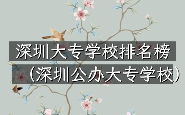 深圳大专学校排名榜（深圳公办大专学校）