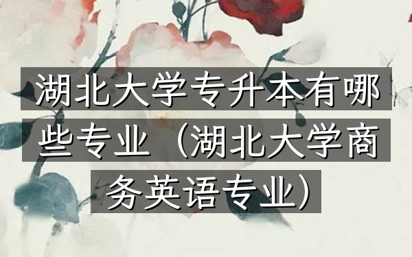 湖北大学专升本有哪些专业(湖北大学商务英语专业)
