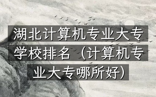 湖北计算机专业大专学校排名（计算机专业大专哪所好）