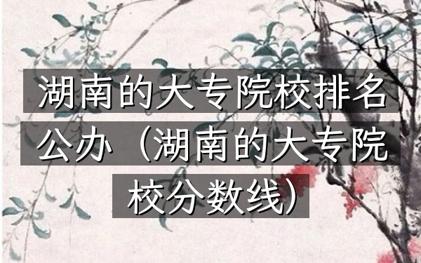 湖南的大专院校排名公办（湖南的大专院校分数线）