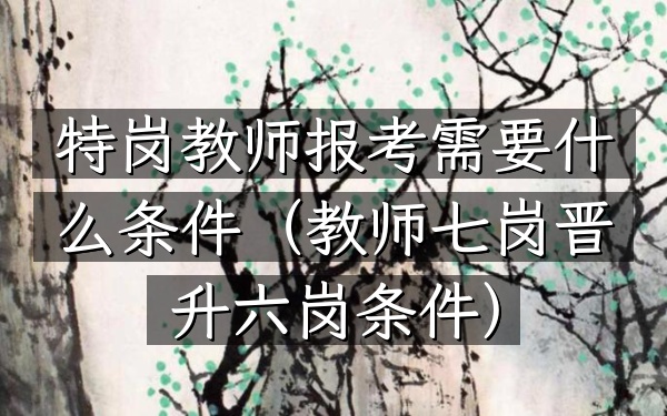 特岗教师报考需要什么条件(教师七岗晋升六岗条件)