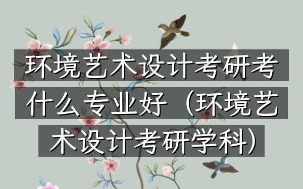 环境艺术设计考研考什么专业好(环境艺术设计考研学科)