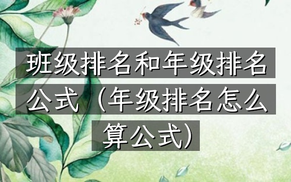 班级排名和年级排名公式（年级排名怎么算公式）