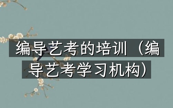 编导艺考的培训(编导艺考学习机构)