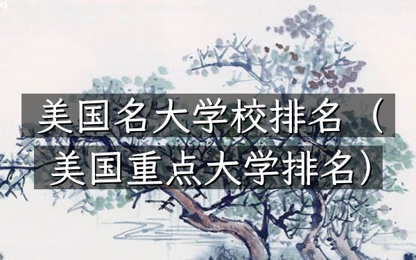 美国名大学校排名（美国重点大学排名）