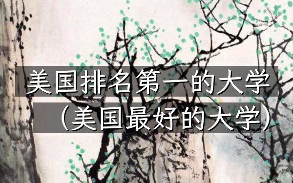 美国排名第一的大学（美国最好的大学）
