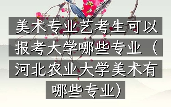 美术专业艺考生可以报考大学哪些专业(河北农业大学美术有哪些专业)