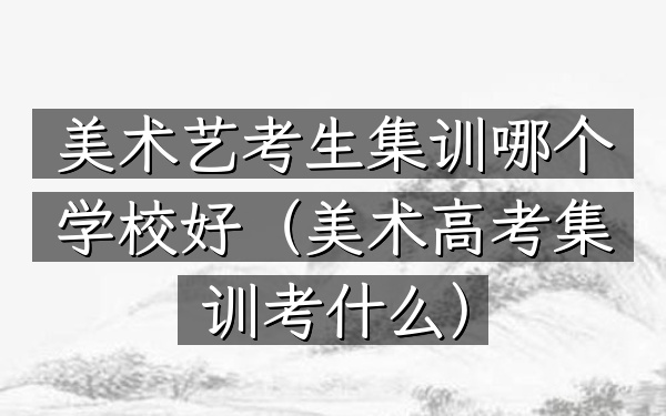 美术艺考生集训哪个学校好(美术高考集训考什么)
