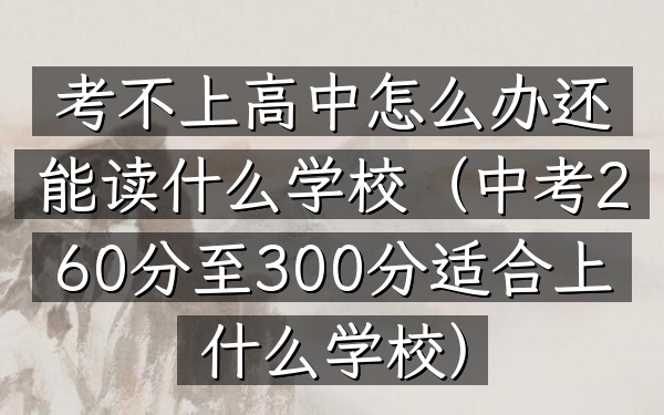考不上高中怎么办还能读什么学校(中考260分至300分适合上什么学校)