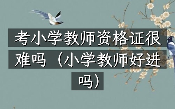 考小学教师资格证很难吗(小学教师好进吗)