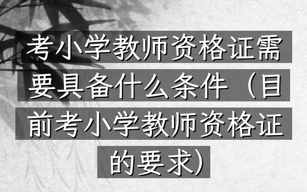 考小学教师资格证需要具备什么条件(目前考小学教师资格证的要求)