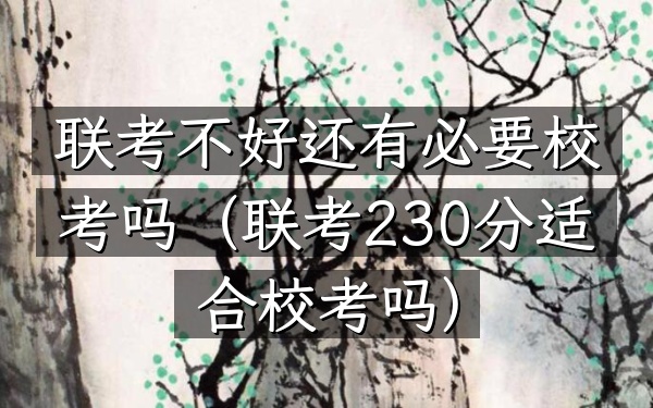 联考不好还有必要校考吗(联考230分适合校考吗)