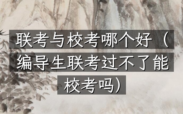 联考与校考哪个好(编导生联考过不了能校考吗)